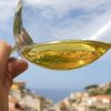 Wine Tasting Liguria