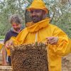 Bees Honey Grottole Basilicata