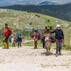 Donkey Trekking Gran Sasso